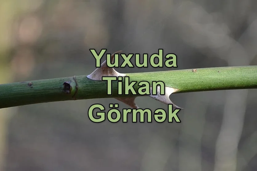 Yuxuda Tikan Görmək Nə Deməkdir