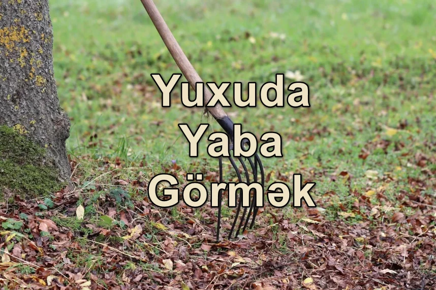 Yuxuda Yaba Görmək Nə Deməkdir? Yozması Nədir?